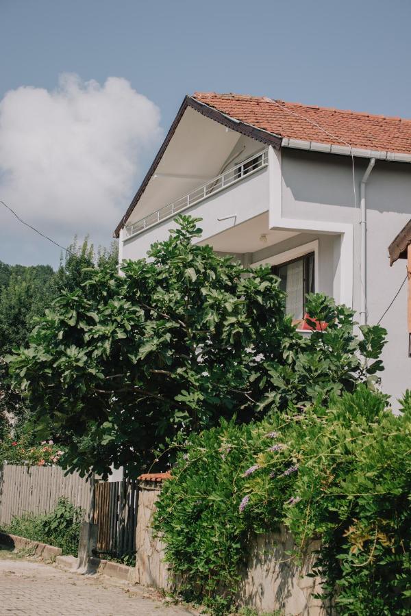 Hotel Agva Marina House Stambuł Zewnętrze zdjęcie
